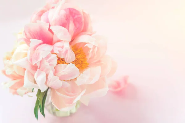 Bando fresco de peônias e rosas cor de rosa — Fotografia de Stock