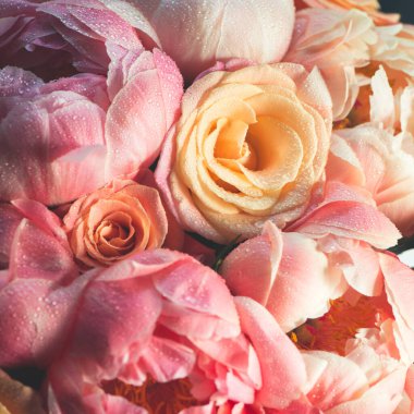 Taze pembe şakayıklar ve güller