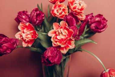 Şakayık Biçimli Laleler