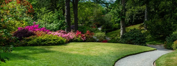 Hermoso jardín con árboles en flor durante la primavera —  Fotos de Stock