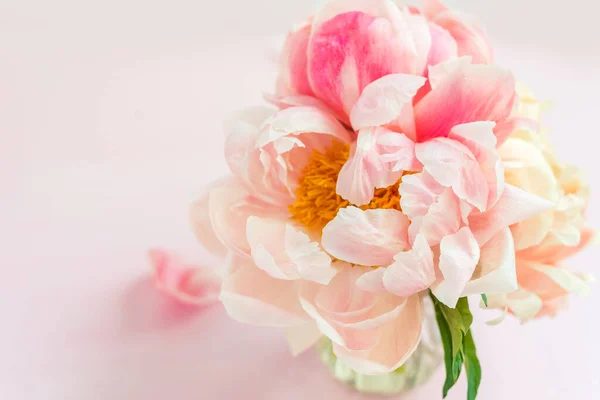 Bando fresco de peônias e rosas cor de rosa — Fotografia de Stock