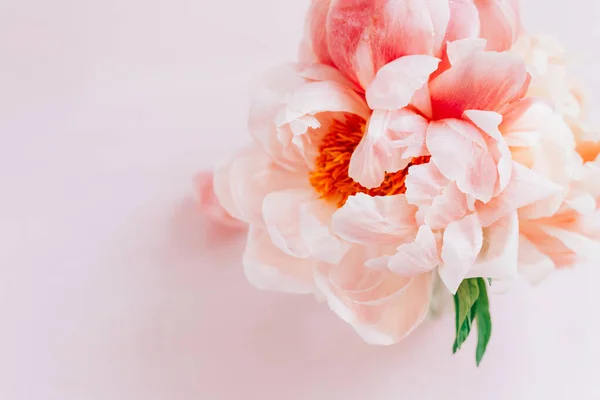 Verse bos van roze pioenen en rozen — Stockfoto