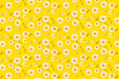 Çiçekli papatya deseni