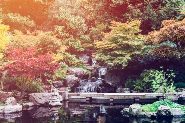 Sonbahar Parkı, Londra, İngiltere