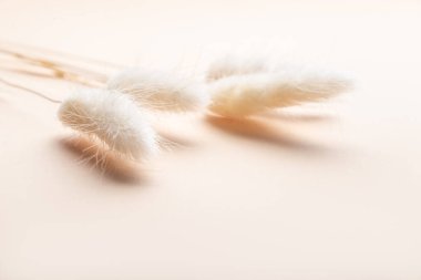 Tavşan Kuyruğu Çimi Kurumuş Çiçek Buketi