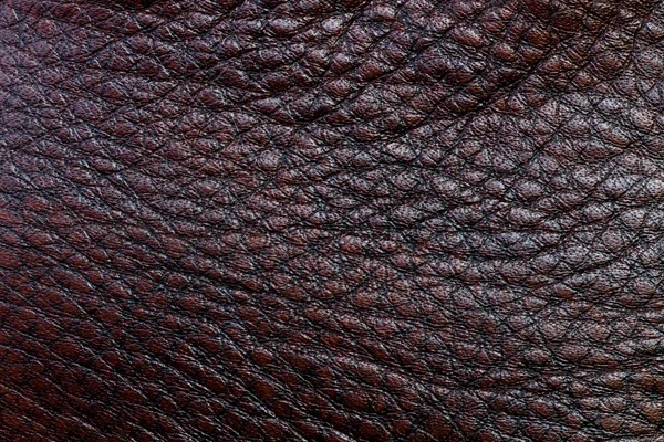 Black texture leather skin — Stock Photo, Image