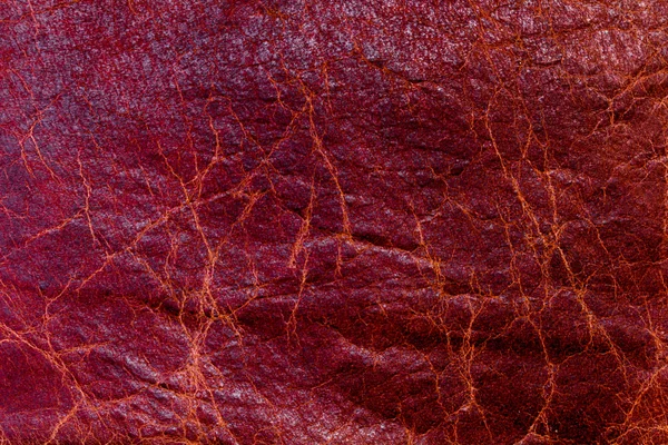 Czerwony tekstury skóry skóry tło — Zdjęcie stockowe