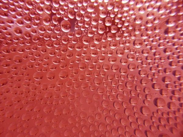 Czerwona kropla wody tła — Zdjęcie stockowe