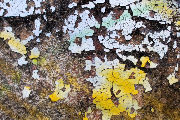 Textura da parede fundo colorido — Fotografia de Stock