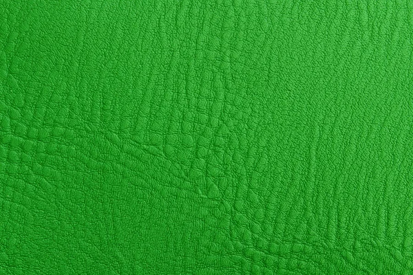 Pelle di pelle texture verde — Foto Stock