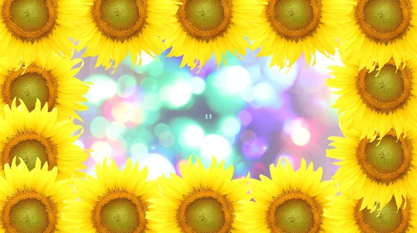 框架向日葵在模糊的仙女灯背景 — 图库照片