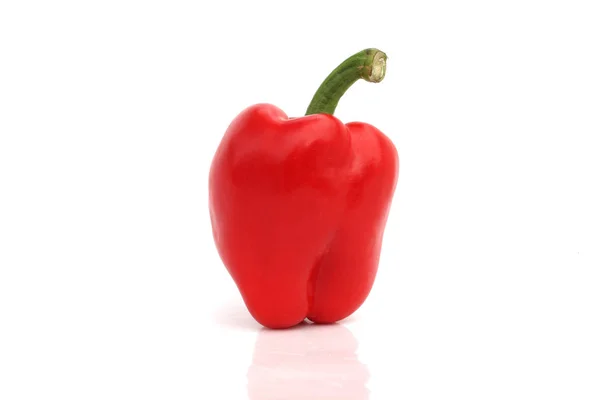 Paprika Rouge Sur Fond Blanc Isolé — Photo