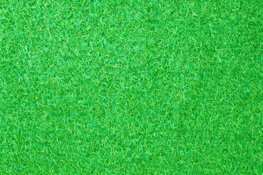 yeşil çim arka kapatmak