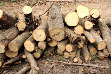 günlükleri arka plan Grup