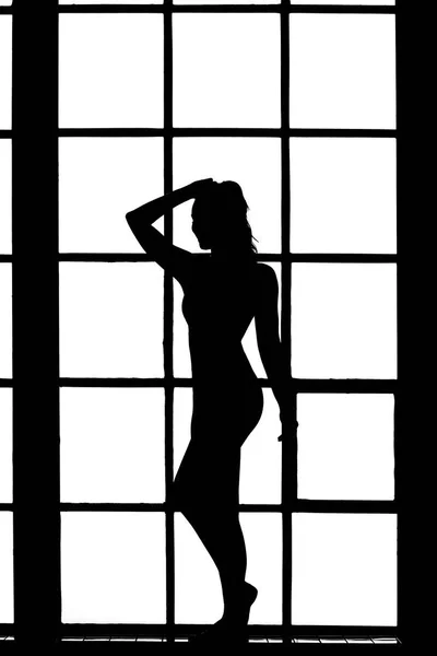 Beautiful silhouette of woman — Stock Photo, Image