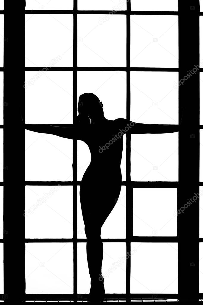 Beautiful silhouette of woman