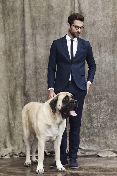 Uomo d'affari fiducioso con cane — Foto Stock
