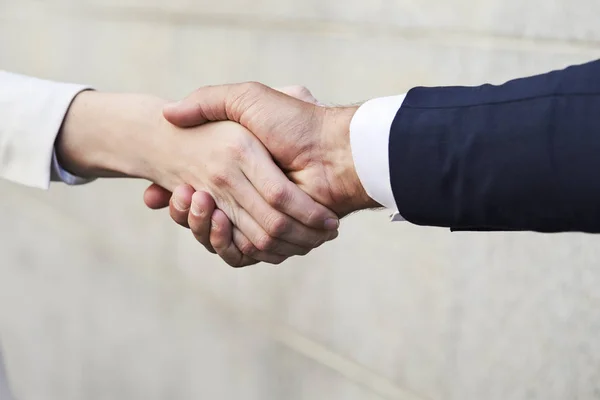 Business colleagues shaking hands — Stock Photo, Image