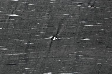 Doğal granire lüks Gri çizgili.