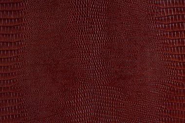 Arka plan için kahverengi sürüngen deri dokusu.