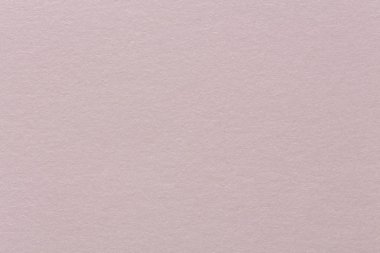 Pastel mor arka plan bahar Easter renk tasarımı, vintage gru