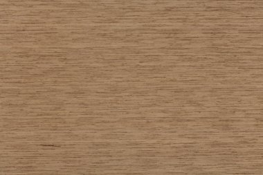 Benzersiz meşe arka plan yakın çekim.