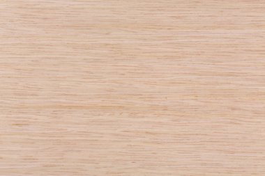 Doku meşe. Arka plan ağaç pahalı türlerin.