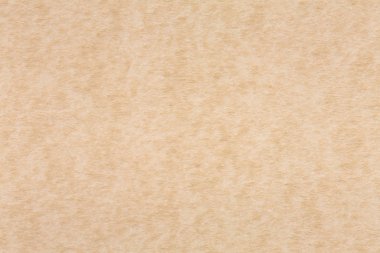 Bej renkli arka plan üzerinde vurgulamak.