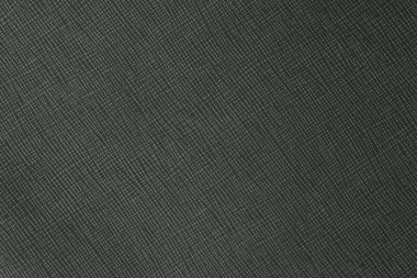 koyu yeşil deri dokusu.