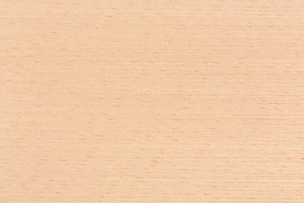 Букова текстура деревини на макрос . — стокове фото