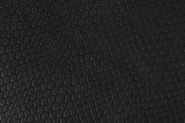 Siyah sürüngen deriden yakın çekim.