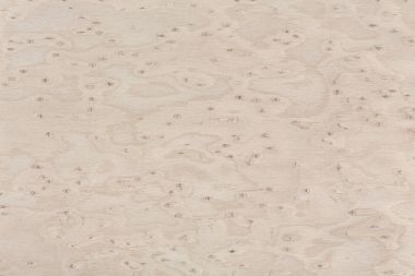 Akçaağaç ahşap tasarım doku. Doğal arka plan.