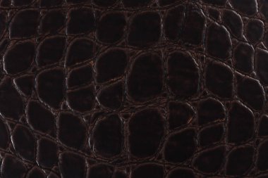 Timsah koyu cilt deri dokusunu.