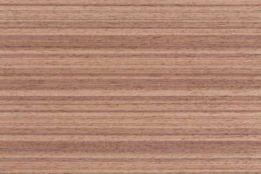 Ceviz kaplama doku, doğal ahşap backghound.