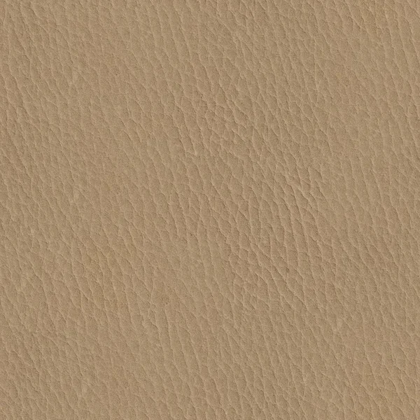 Textura de piel beige natural abstracta. Fondo cuadrado sin costuras —  Fotos de Stock