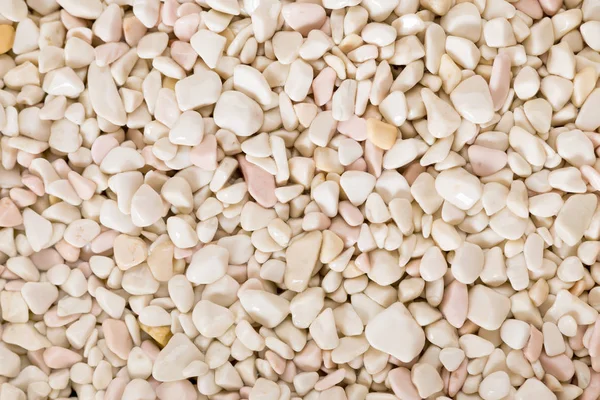 Patrón neutro de piedras beige secas pálidas. Piso tendido, vista superior . — Foto de Stock