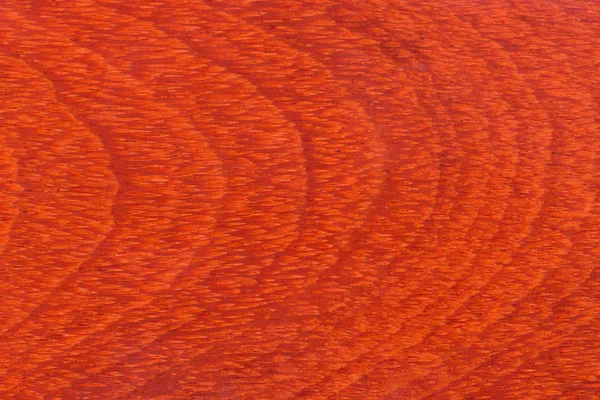 Podea realistă din lemn roșu din lemn . — Fotografie, imagine de stoc
