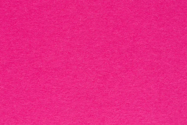 Düz pembe yakın çekim.
