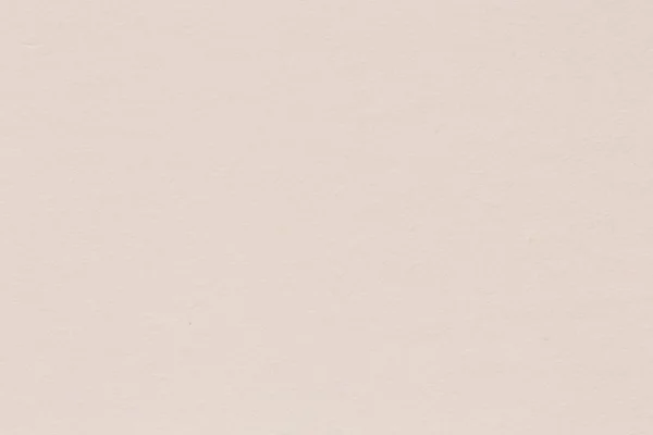 Pastel ambachtelijke witte crème mulberry flower ruw papier textuur ab — Stockfoto