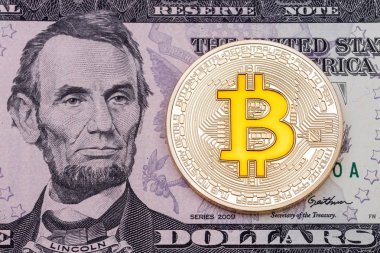 Altın cruptocurrency sarı bitcoin Doları banknot backgrou üzerinde