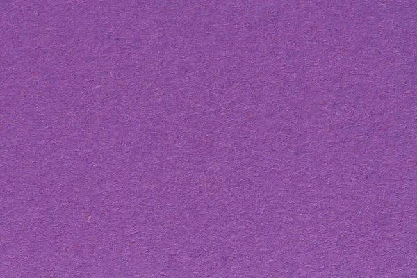 Paper texture background. High quality. Purple color. Fine arts
