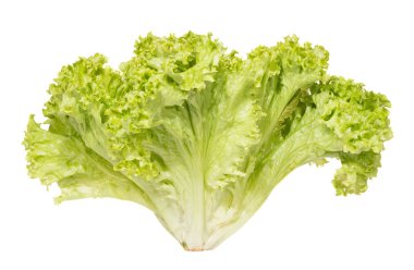 Beyaz arka plan üzerinde kıvırcık ışık yeşil salata.