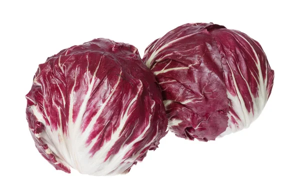 Deux grands Radicchio avec couleur contrastée en taille réelle . — Photo