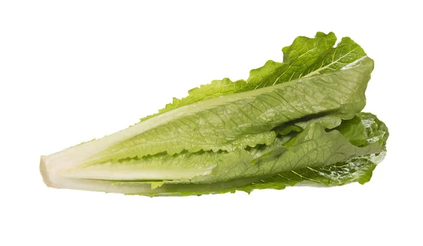 Bund kontrastierende grüne Salatblätter. — Stockfoto