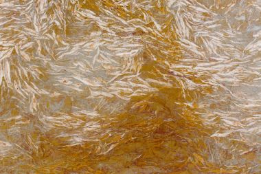 Turuncu Mermer doku backcground yakın çekim.