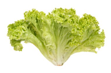 Beyaz arka plan üzerinde ışık yeşil salata demet.