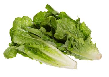 Grup kontrast taze salata yaprakları.