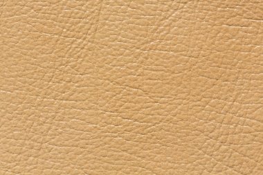 Yumuşak deri dokusu içinde hafif renk.