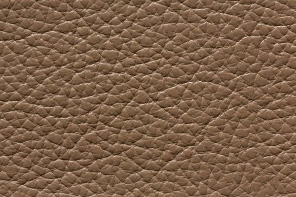 Elegant brown leather texture with contrast surface. — Stock Photo, Image