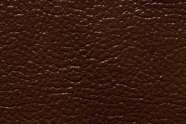 Saturated brown expensive leather texture. — Stock Photo, Image